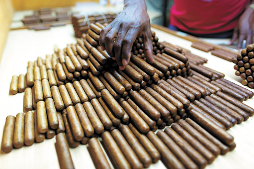 新華社照片，哈瓦那，2015年2月27日 　　（國際）（10）雪茄工人的日常——探訪古巴手工煙廠 2月26日，工人在古巴首都哈瓦那的一家傳統手工雪茄工廠檢驗成品雪茄。 “燃灰白如雪，煙草卷如茄”，原產於美洲的這種特殊香煙經徐志摩譯作“雪茄”而為中國人所熟知。古巴雪茄享譽全球，每年超過5億隻雪茄從這個島國出口到世界各地。古巴雪茄因島上特殊的土壤等自然條件和長期傳承的發酵工藝，向來為全球“雪茄客”所熱捧。古巴最好的雪茄均為手工卷制，煙廠工人每天需要製作約百隻雪茄，經過多道工藝和篩選，最後裝箱上市。隨著古巴和美國去年年底啟動關係正常化進程，古巴雪茄有望迎來新的商機。 　　新華社記者劉彬攝